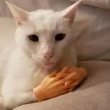 TheSaltyPioneer